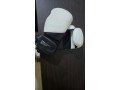 gants-de-boxe-tring-12oz-small-1