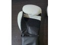 gants-de-boxe-tring-12oz-small-2