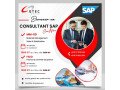 formation-en-sap-small-0