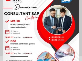 formation-en-sap